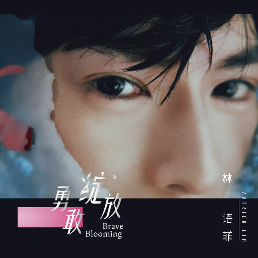 大全海报小鲤导航
